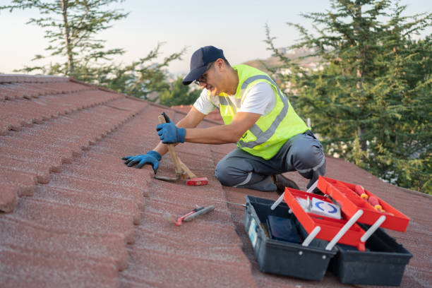 Best Storm Damage Roof Repair  in Algona, IA